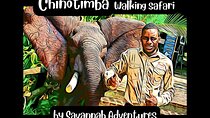 Chinotimba Township Tour in 4wd