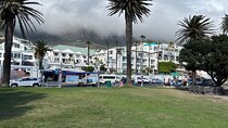Full-Day Private Cape Town’s Beaches Tour