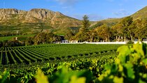 Table Mountain to World of Birds and Constantia Wineries Tour