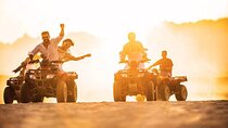 Quad Bike Safari Experience in Luxor Desert - Thrilling Adventure