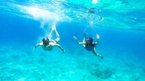 Split: Blue Lagoon, Hvar, Brač, 6 Islands Boat Tour - Small Group