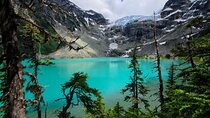 Whistler, Brandywine Falls, and Joffre Lakes Private Tour