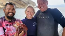 Boat tour, Snorkeling and Sunset 