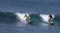 Surfnesia Surf Lesson and Guiding
