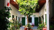 Flamenco in Seville: Tour through its History + Dance Class 