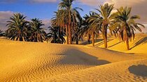 Full Day in Egypt Tour to Fayoum Oasis