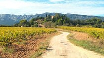  Peaceful Countryside Day : vineyards, food & villages
