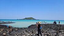 Private Tour in West Jeju Island with Transfer 