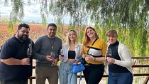 Vineyards with Wine Tasting in Mendoza