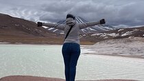 Altiplanic Lagoons & Piedras Rojas Tour from San Pedro de Atacama