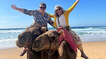 Luxury Private Tour with Pick Up from Cruise Ship All Inclusive