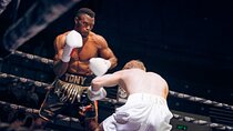 Experience Private Boxing like a Champ at SN Boxing Academy