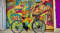 Okinawa E-bike Rental (Sporty Type)