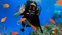 PADI Scuba Diver (PSD)