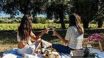 Premium Ischia Wine Tasting Experience with Transfer Included