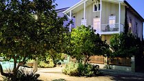 Tel Aviv's Old Neighborhoods walking Tour