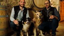 Champagne Tour and Tasting with a friendly guide in Marne Valley