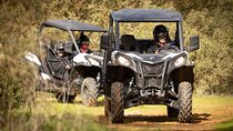 Porto Buggy Adventure: Guided Tour to Ruins and Typical Village