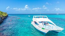 Full-Day Excursion to Discover Catalina Island with Lunch Option 
