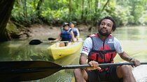 Safari by Kayak on Rio Peñas Blancas