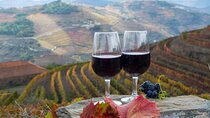 Private Douro Valley Tour: A Day of Wine, Scenery, and Heritage