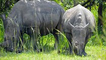 14 Days Uganda Safari Northern Circuit Tour