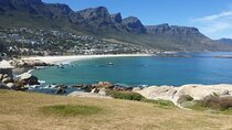 cape point , penguins , Stellenbosch from cape town private tour