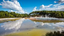 From Auckland to Rotorua Waiotapu and Activity Combinations 