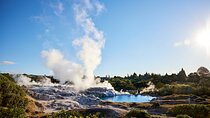  Auckland: Rotorua Māori Village w Haka & Waitomo Caves Day Tour