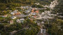 From Auckland: Hobbiton & Rotorua Māori Village with Hangi Lunch