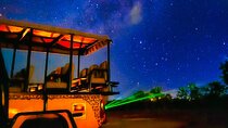 Guided Night Experience and Stargazing in the Bush