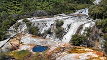 Waitomo Cave & Orakei Korako Small Group Tour From Auckland