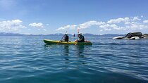 Scenic and Wild Nature tour in South Lake Tahoe