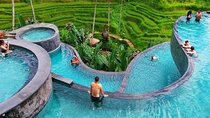 Cretya Ubud and Monkey Forest Sanctuary Tours