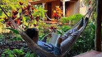 2D1N Adventure Explore Cat Ba National Park, Viet Hai, Lan Ha Bay