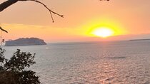 Private Taxi Tour of South Jeju With English Speaking Driver 