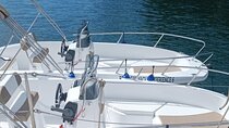 Captain Your Own Boat without License