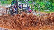 Buggy Ride into the Jungle coffee , chocolate tasting Cenote