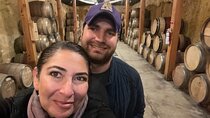 Private Tour Premium Wineries in the Valle de Guadalupe