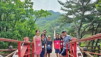 Korea DMZ Tour with North Korea Experience Hall & Susp. Bridge