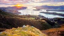 Christchurch City Highlights Half Day Tour