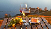 Lausanne Culinary Boat Trip & Vineyard Visit from Zurich