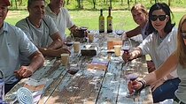 Lucca Market Tour & Authentic Italian Aperitivo at a Local's Home