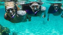 Guided Reef Snorkeling Tour in Pompano Beach