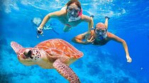 Private Guided Tour To Tulum Ruins, Snorkel With Turtles & Tacos
