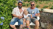 Wine Not Algarve Winery Tour