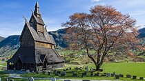 Private Tour Guided Fjord and Glacier from Bergen