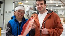 Toyosu Fish Market Private Tour and Cooking Experience