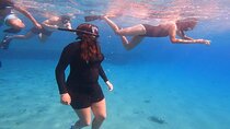 Private Snorkeling Adventure with Transportation 