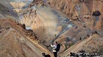 Landmannalaugar Private Day Tour with Guide